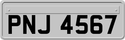 PNJ4567