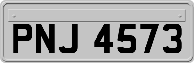 PNJ4573