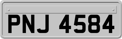 PNJ4584
