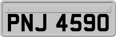PNJ4590