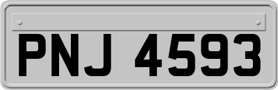 PNJ4593