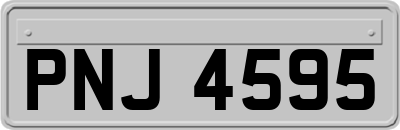 PNJ4595