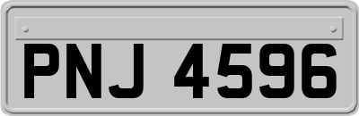 PNJ4596