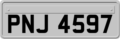PNJ4597