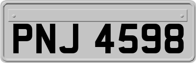 PNJ4598