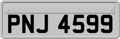 PNJ4599