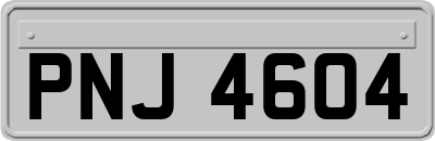 PNJ4604