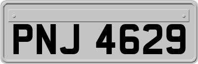 PNJ4629