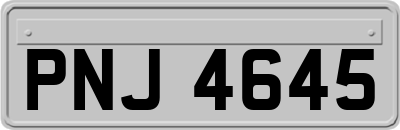 PNJ4645