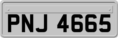 PNJ4665