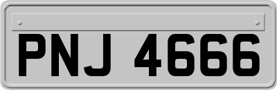 PNJ4666