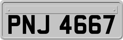 PNJ4667