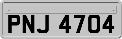 PNJ4704