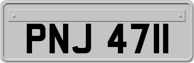 PNJ4711