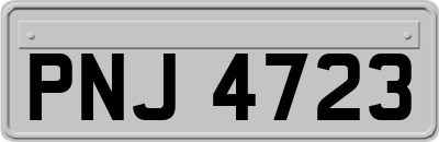 PNJ4723