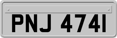 PNJ4741