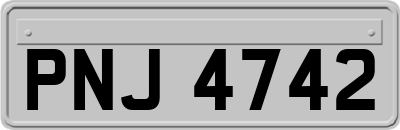 PNJ4742