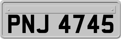 PNJ4745