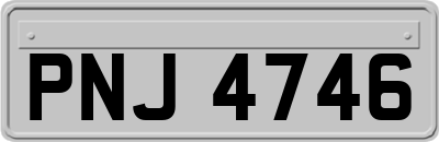 PNJ4746