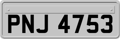 PNJ4753