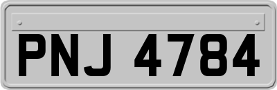 PNJ4784