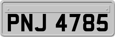 PNJ4785