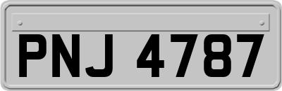 PNJ4787