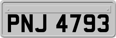 PNJ4793
