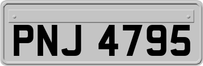 PNJ4795