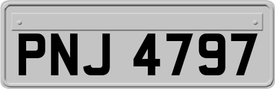 PNJ4797