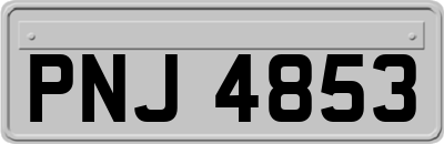 PNJ4853