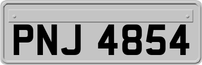 PNJ4854