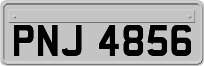 PNJ4856