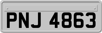PNJ4863