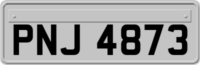 PNJ4873