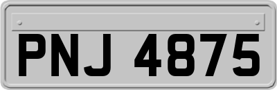 PNJ4875