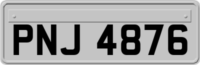 PNJ4876