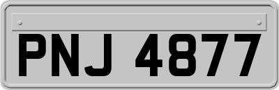 PNJ4877