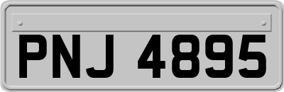 PNJ4895