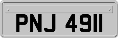 PNJ4911