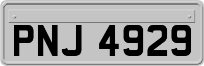 PNJ4929