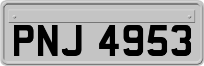 PNJ4953