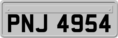 PNJ4954
