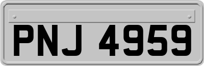 PNJ4959