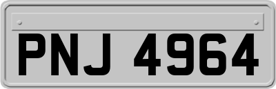 PNJ4964