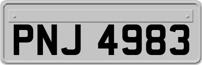 PNJ4983