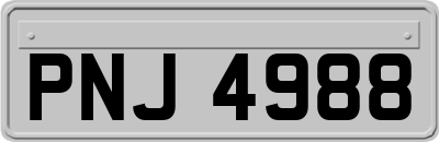 PNJ4988
