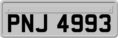 PNJ4993