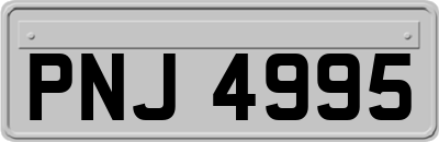 PNJ4995