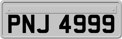 PNJ4999